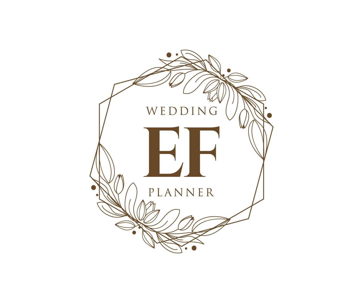 ef initialen brief bruiloft monogram logos verzameling, hand- getrokken modern minimalistisch en bloemen Sjablonen voor uitnodiging kaarten, opslaan de datum, elegant identiteit voor restaurant, boetiek, cafe in vector