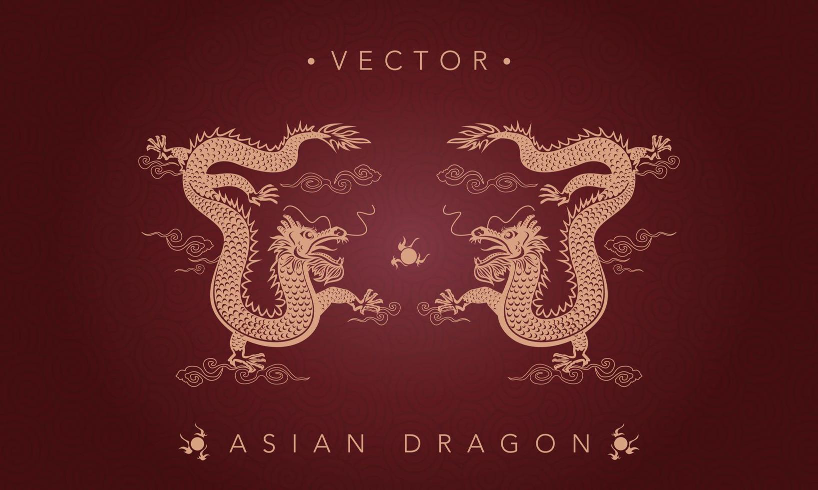 Aziatisch draak Chinese draak totem patroon vector