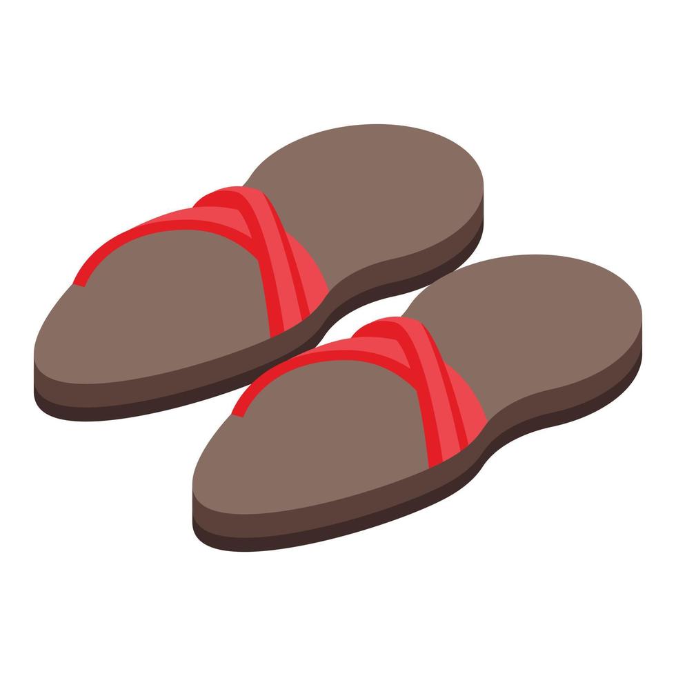 zacht slippers icoon isometrische vector. huis schoenen vector