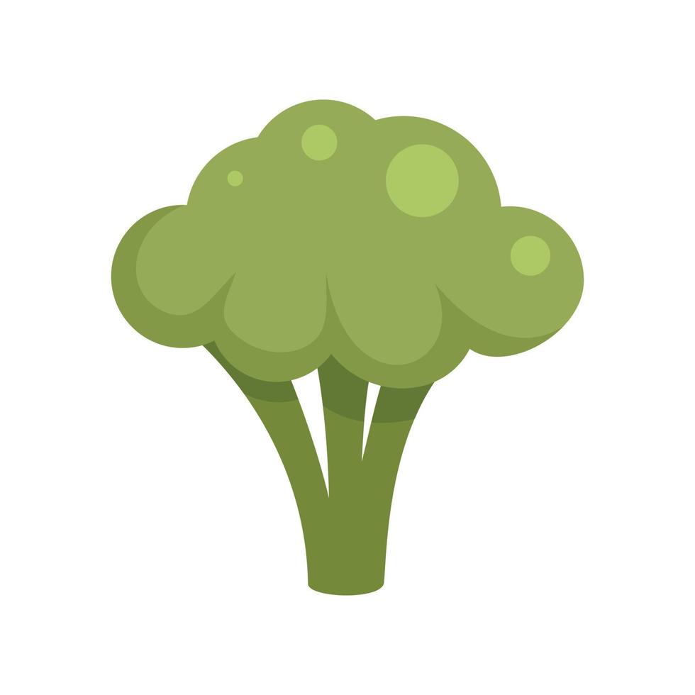 biologisch broccoli icoon vlak geïsoleerd vector