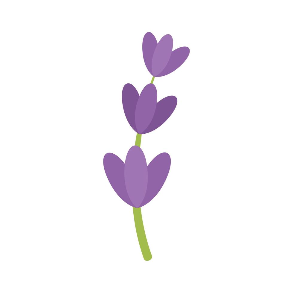 lavendel bloem icoon vlak geïsoleerd vector