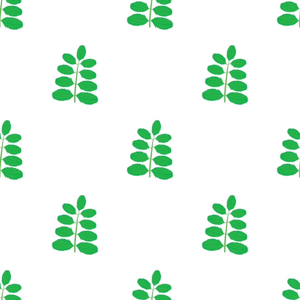 acacia blad patroon naadloos vector