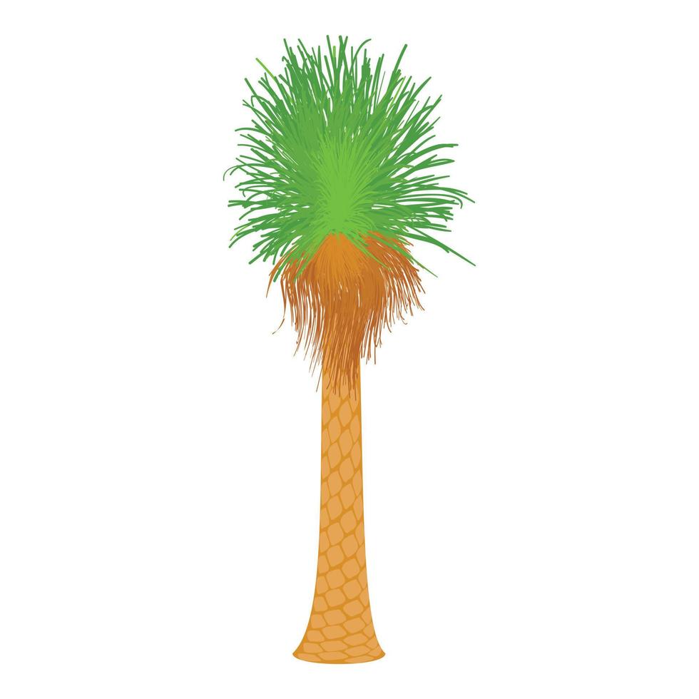 kokosnoot palm icoon, tekenfilm stijl vector