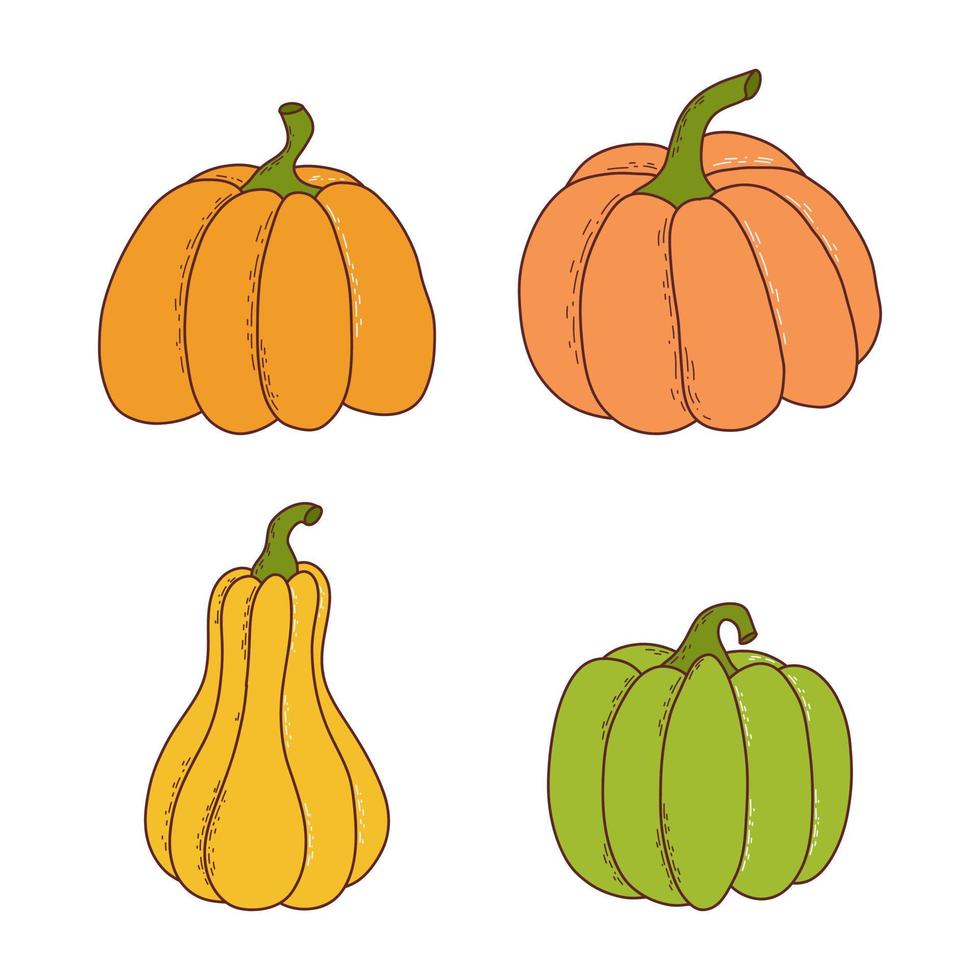 reeks van pompoen van divers vormen en kleuren. dankzegging en halloween elementen. vector illustratie in hand- getrokken stijl