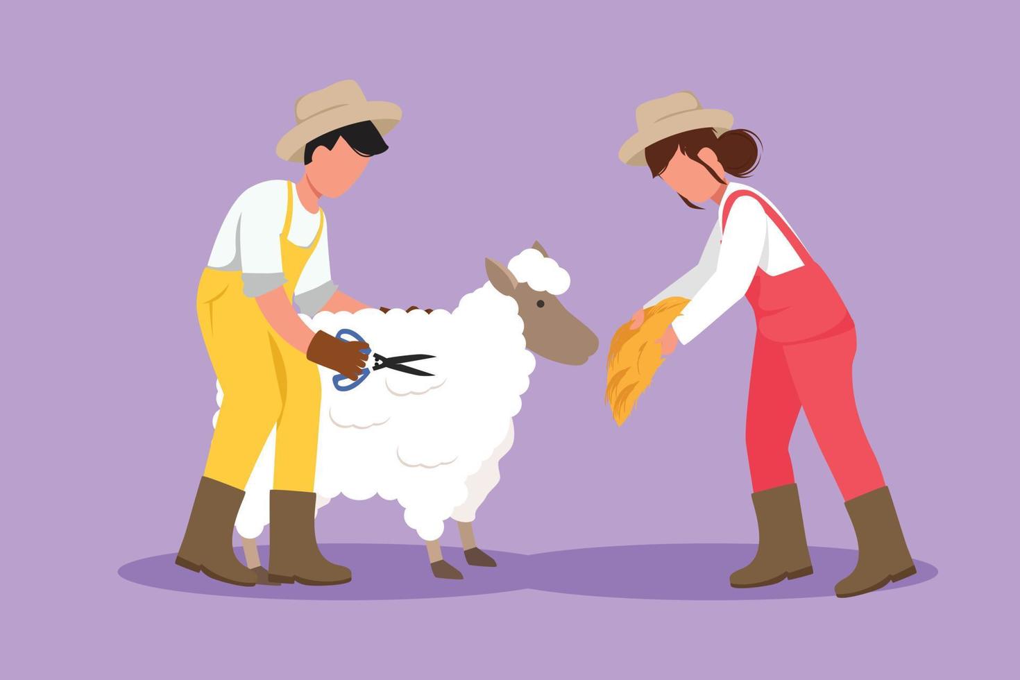 karakter vlak stijl tekening paar boeren scharen schapen naar maken truien. resultaten van schapen landbouw in platteland. vee arbeider activiteiten. geslaagd landbouw. tekenfilm ontwerp vector illustratie