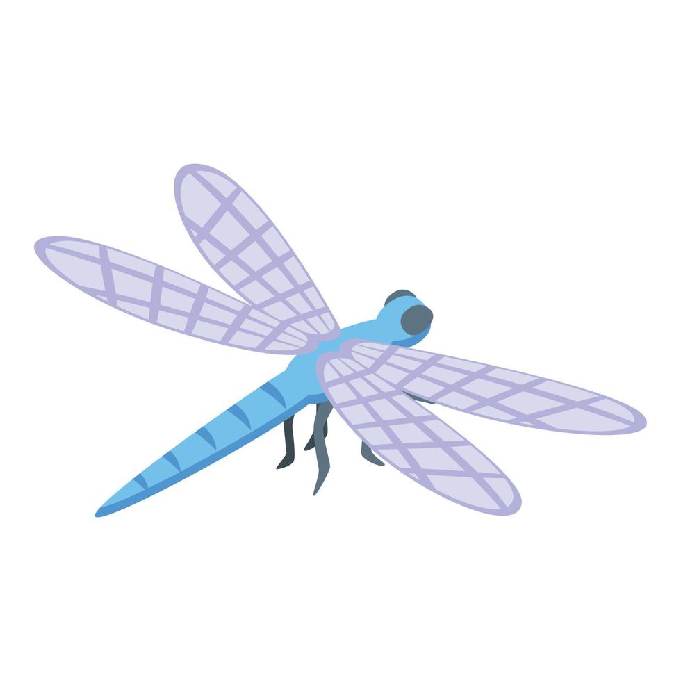meer libel icoon isometrische vector. vleugel insect vector
