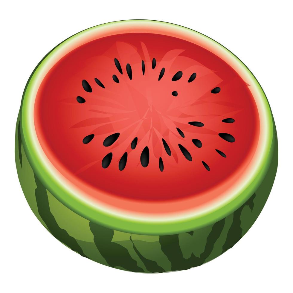 vers watermeloen icoon tekenfilm vector. water voedsel vector