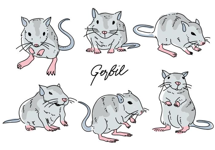 Gerbil Mouse Pose Hand Drawn Krabbel Vector Illustratie