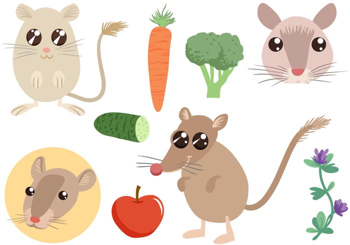 Gratis Gerbil Vectors