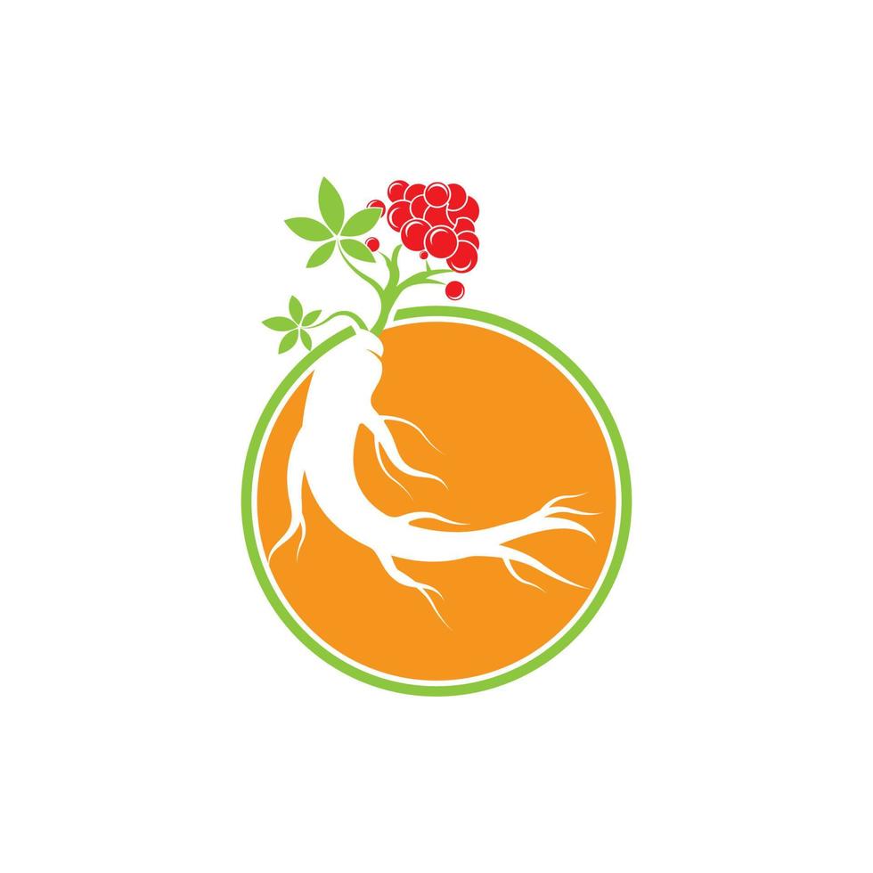 ginseng icoon vector illustratie ontwerp logo