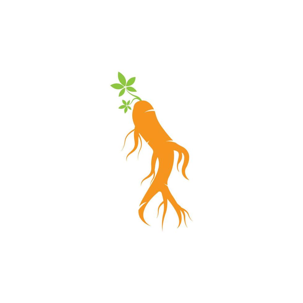 ginseng icoon vector illustratie ontwerp logo