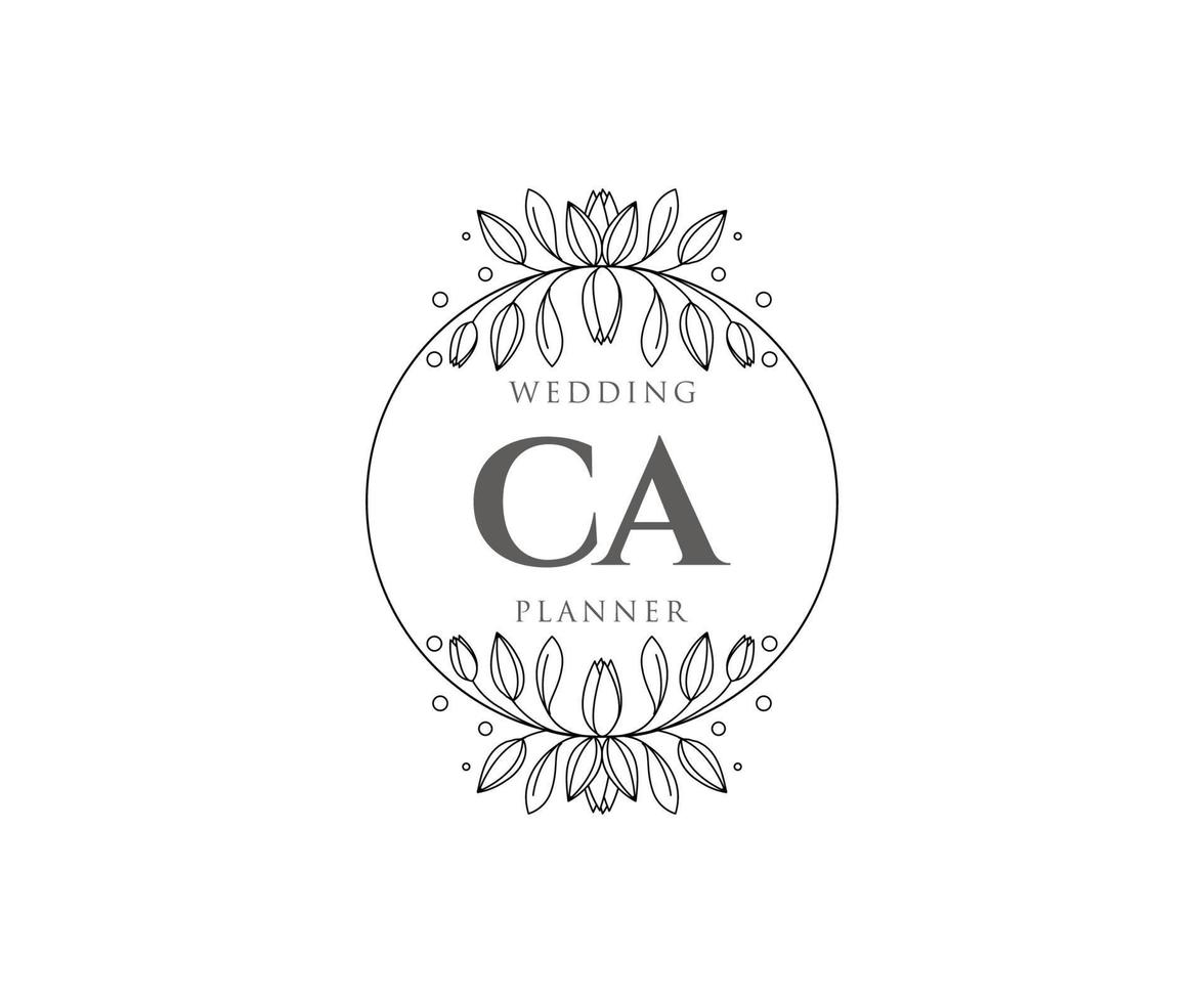 ca initialen brief bruiloft monogram logos verzameling, hand- getrokken modern minimalistisch en bloemen Sjablonen voor uitnodiging kaarten, opslaan de datum, elegant identiteit voor restaurant, boetiek, cafe in vector