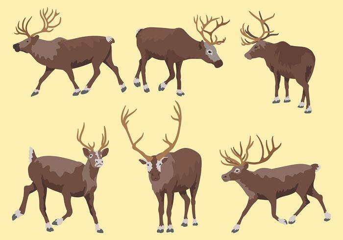 Caribou Vector Pictogrammen