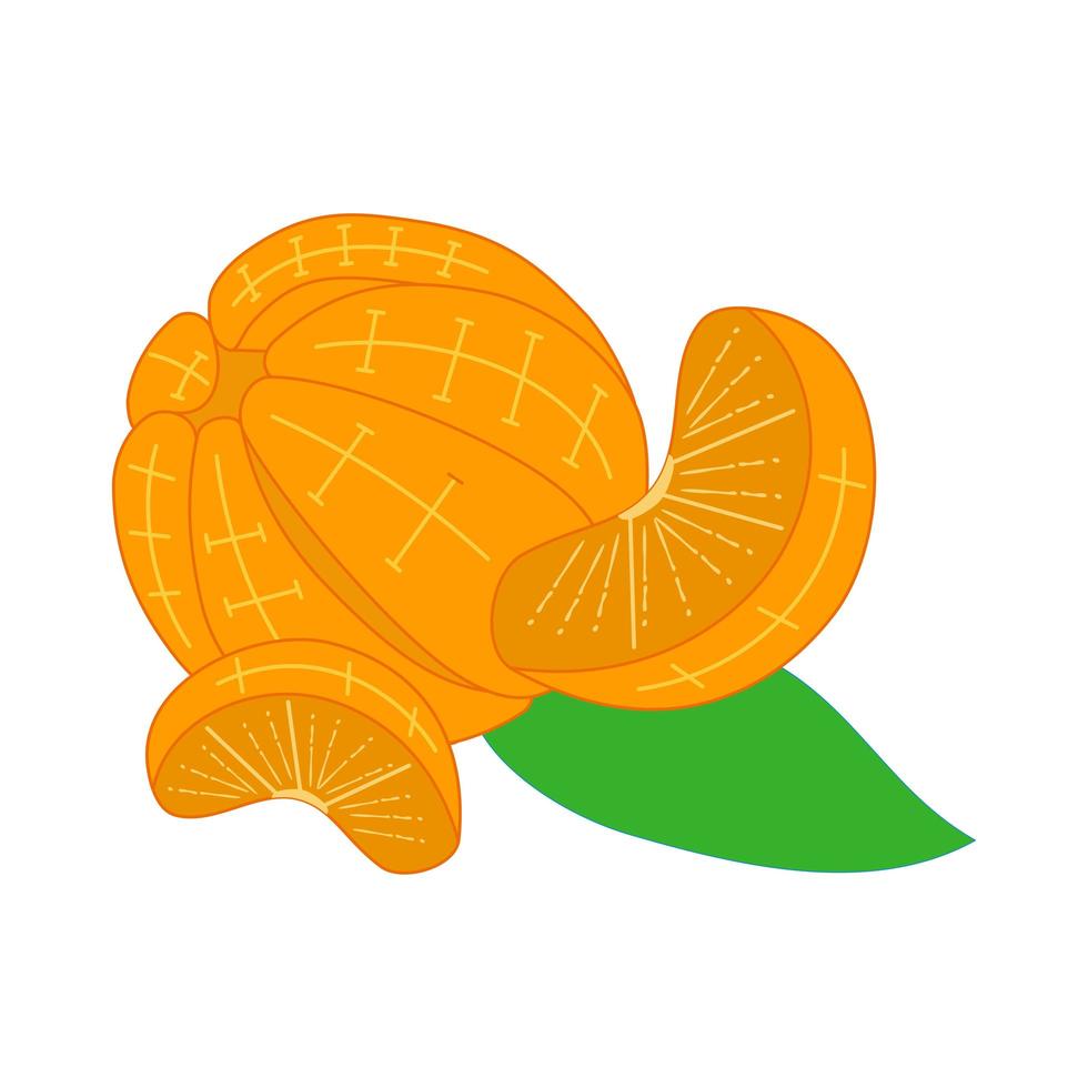 sinaasappel en plakjes zonder schil vector