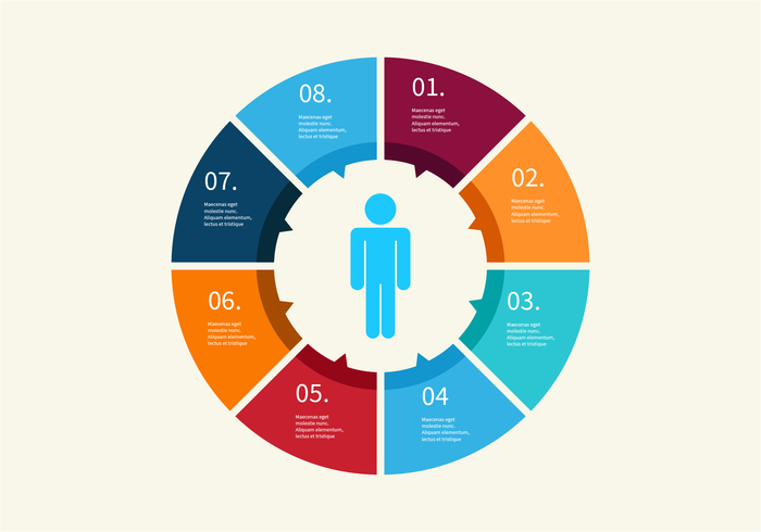 Lifecycle Vector Diagram