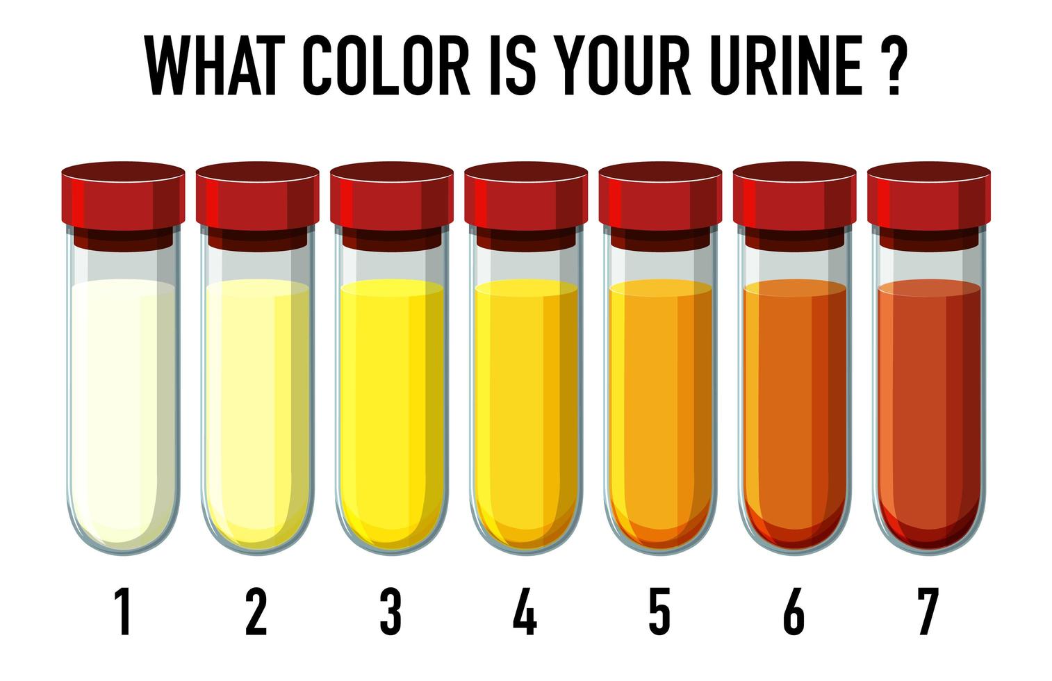 illustratie van urine kleurenkaart vector