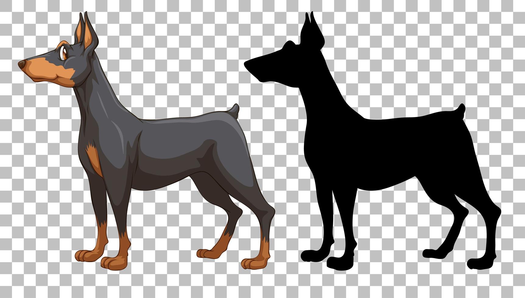 schattige doberman pinscher en zijn silhouet op transparante achtergrond vector