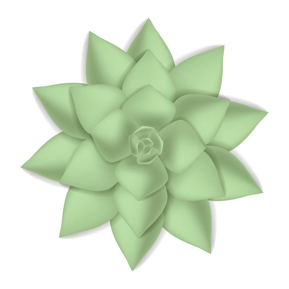 groen sappig icoon, realistisch stijl vector
