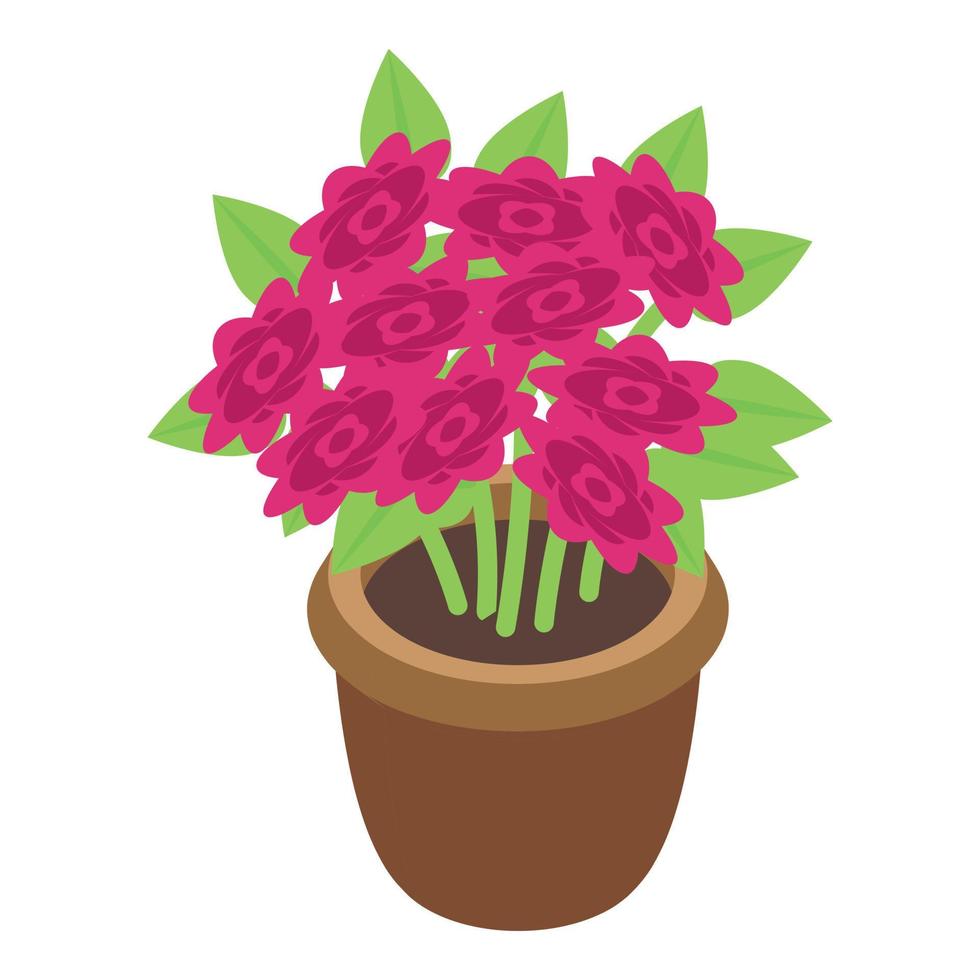 bloem pot icoon isometrische vector. geschenk bundel vector