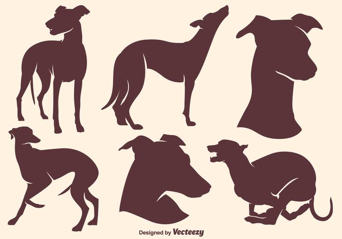 Vector Silhouetten van de Silhouetten van de Hoogwaardige Whippet van de Kwaliteit