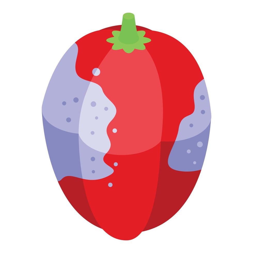 rood peper groente icoon isometrische vector. veiligheid bacterie vector