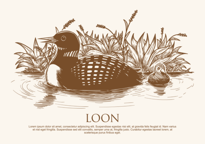 Vrije Hand Drawn Loon Vectoren