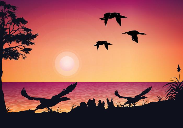 Loon Zonsondergang Gratis Vector