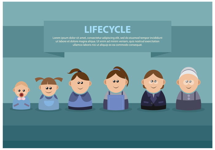 Gratis Vrouwelijke Lifecycle Vector