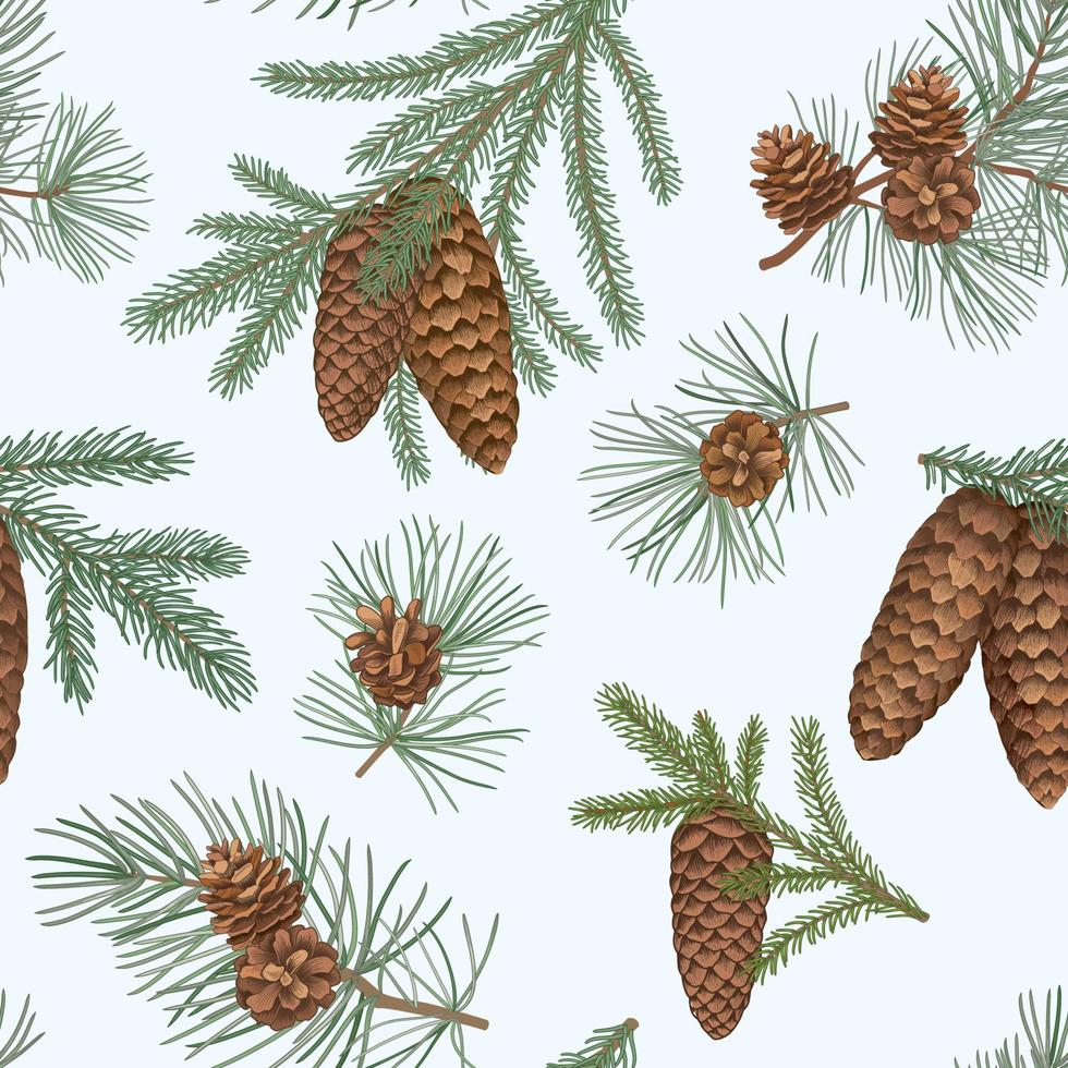 Kerstmis vakantie naadloos bloemen patroon met spar, pijnboom en kegels. winter groenblijvend Kerstmis boom takken achtergrond in gravure hand getekend lijn kunst stijl. vector illustratie.