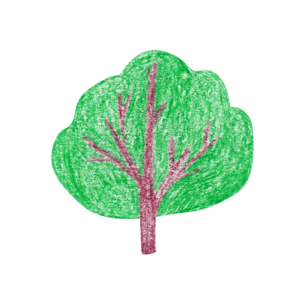 groen boom getrokken door hand- met gekleurde potloden. tekenfilm stijl. geïsoleerd Aan wit achtergrond vector