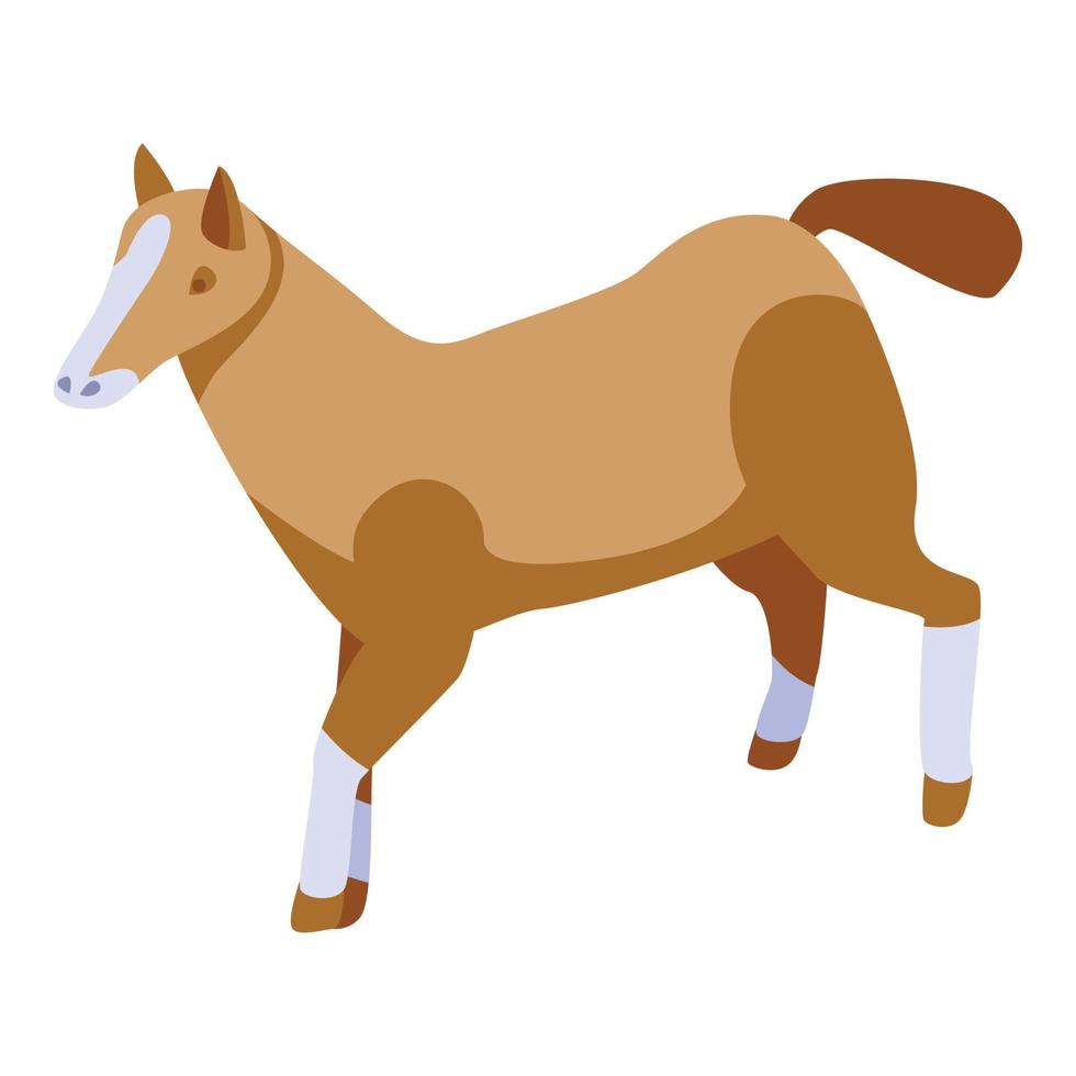 kind paard icoon, isometrische stijl vector