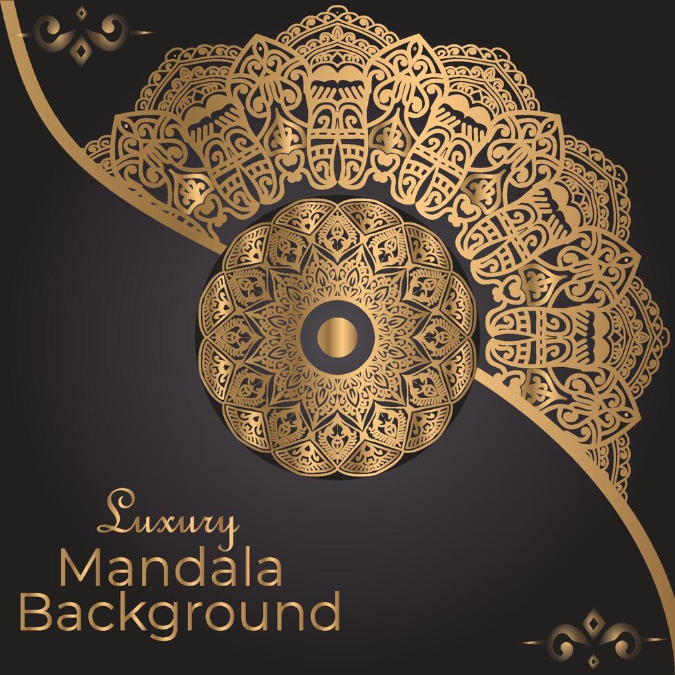 luxe mandala decoratief etnisch element vector
