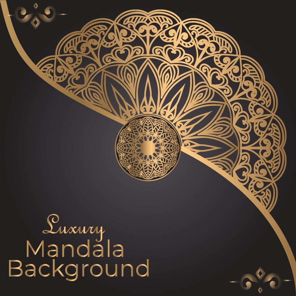 luxe mandala decoratief etnisch element vector