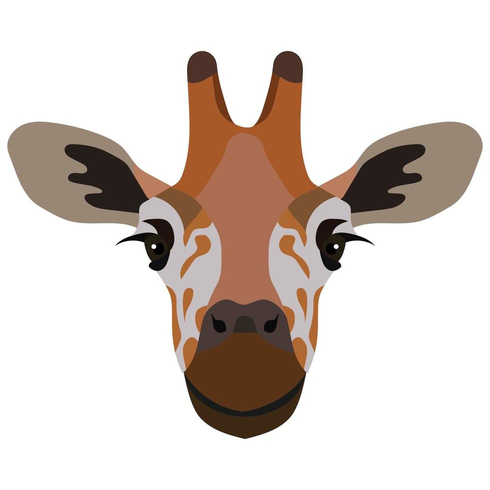 schattig giraffe hoofd geïsoleerd Aan wit achtergrond. Afrikaanse wild dier. illustratie met weinig giraffe in tekenfilm stijl kan worden gebruikt voor kinderen kleding of dingen ontwerp, dier winkel, vakantie kaart. vector