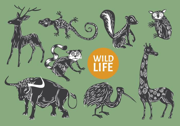 Collectie van Gravure Style Illustratie Animal Wild Life vector