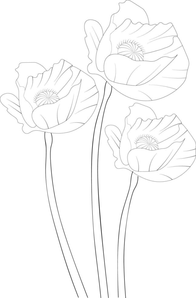 papaver bloem lijn kunst kleur bladzijde vector