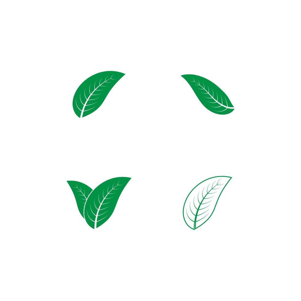 blad natuur logo vector