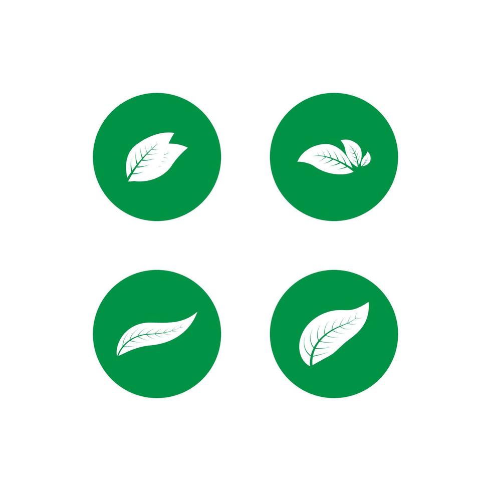 blad natuur logo vector