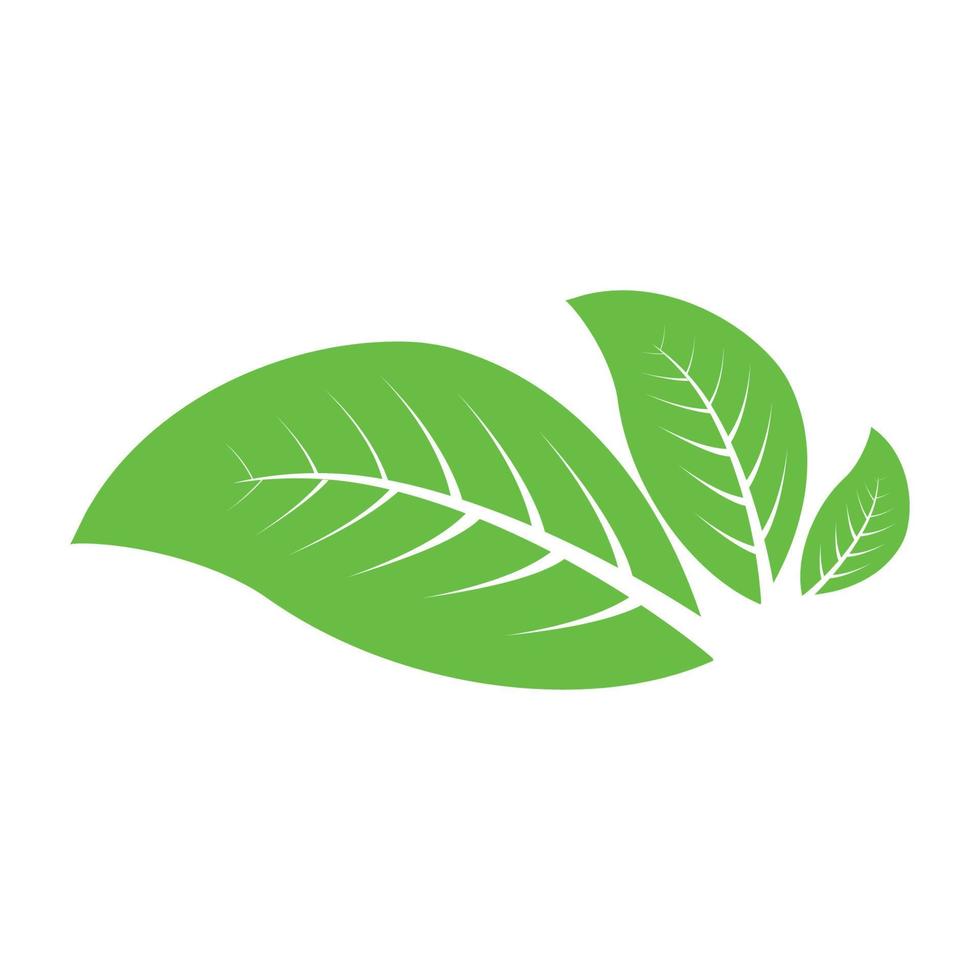 blad natuur logo vector