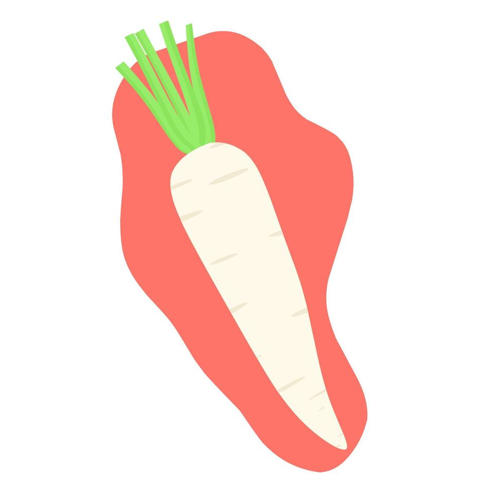 vector illustratie van wit radijs met groen bladeren Aan rood achtergrond. daikon radijs is mooi zo voor Koken soep, tongseng en net zo een kruiden.