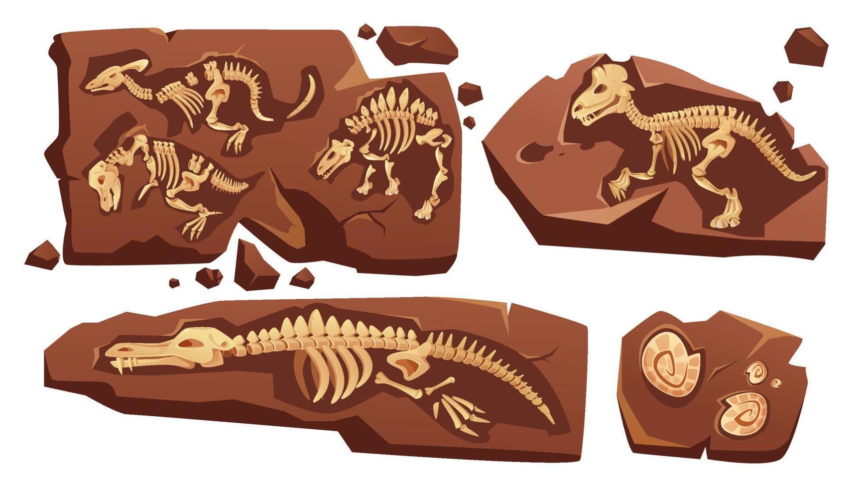 fossiel dinosaurussen skeletten, begraven slakken schelpen vector