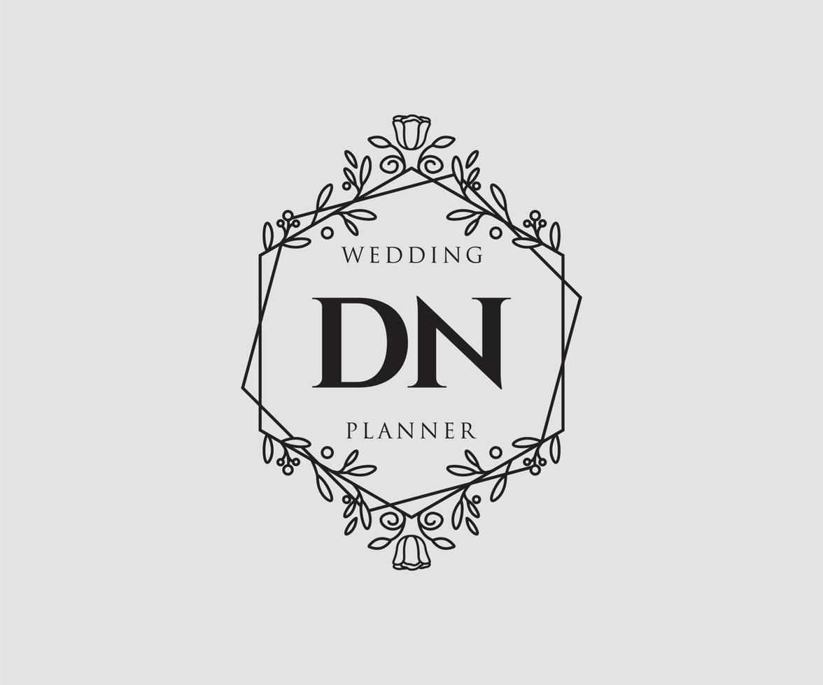 dn initialen brief bruiloft monogram logos verzameling, hand- getrokken modern minimalistisch en bloemen Sjablonen voor uitnodiging kaarten, opslaan de datum, elegant identiteit voor restaurant, boetiek, cafe in vector