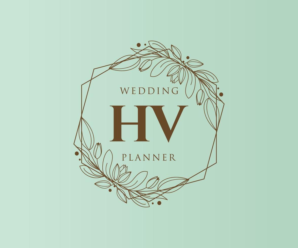 hv initialen brief bruiloft monogram logos verzameling, hand- getrokken modern minimalistisch en bloemen Sjablonen voor uitnodiging kaarten, opslaan de datum, elegant identiteit voor restaurant, boetiek, cafe in vector