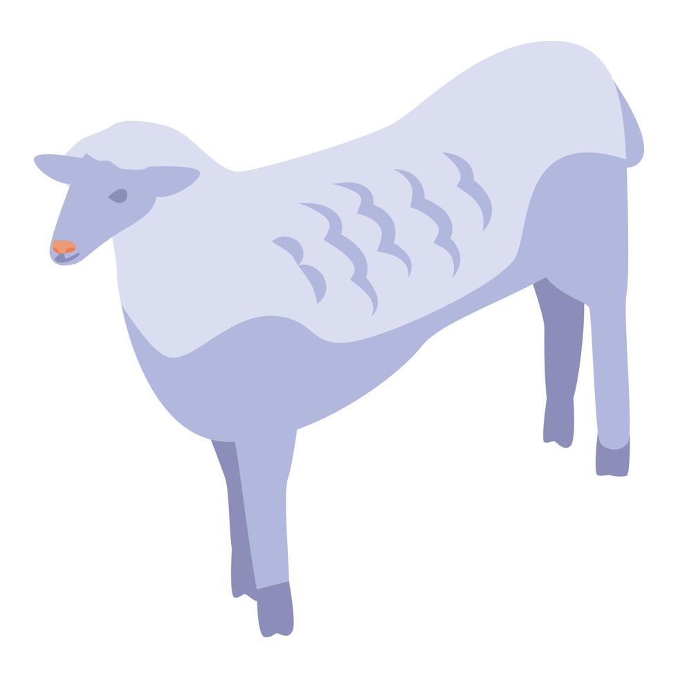 schapen icoon, isometrische stijl vector