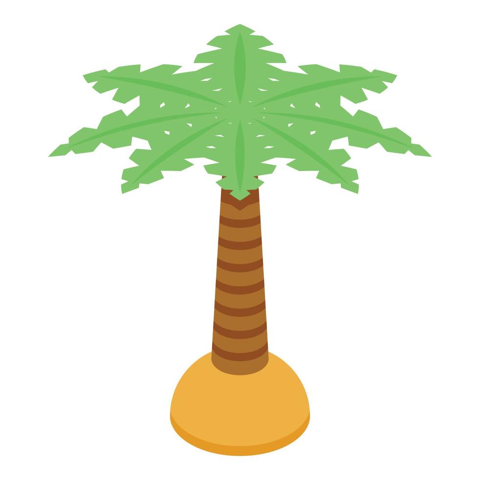 palm boom icoon, isometrische stijl vector