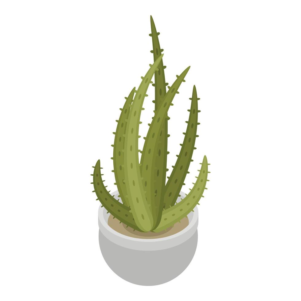 cactus pot icoon, isometrische stijl vector