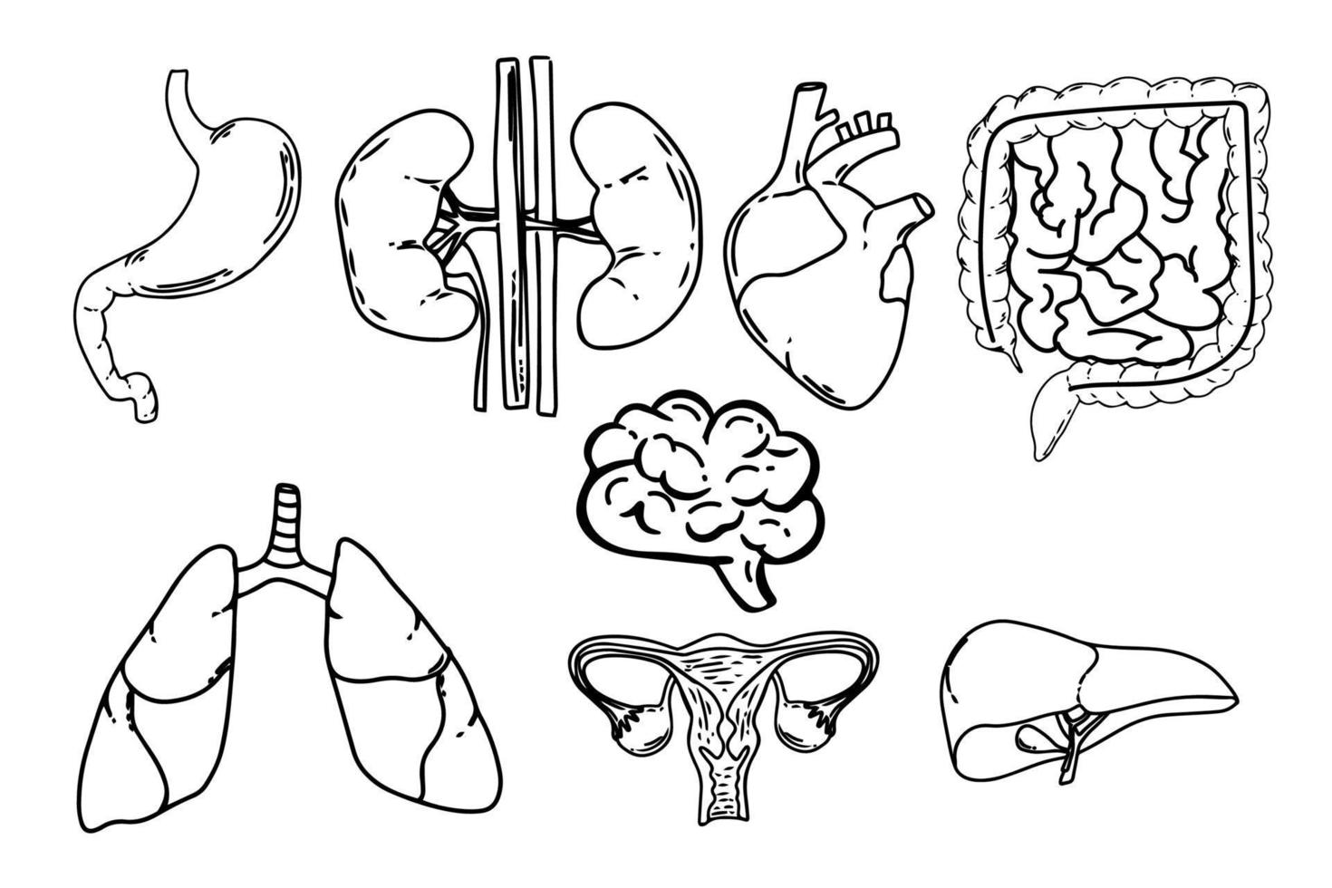 reeks van vector lijn pictogrammen van anatomie voor web en apps. bewerkbare vector hartinfarct. zwart wit