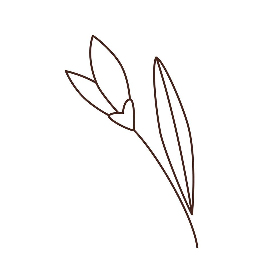 tekening vector schets tekening van tulp bloem. gemakkelijk minimalistisch ontwerp element voor creëren geschenk labels, groet kaarten Aan moeder dag of valentijnsdag dag.