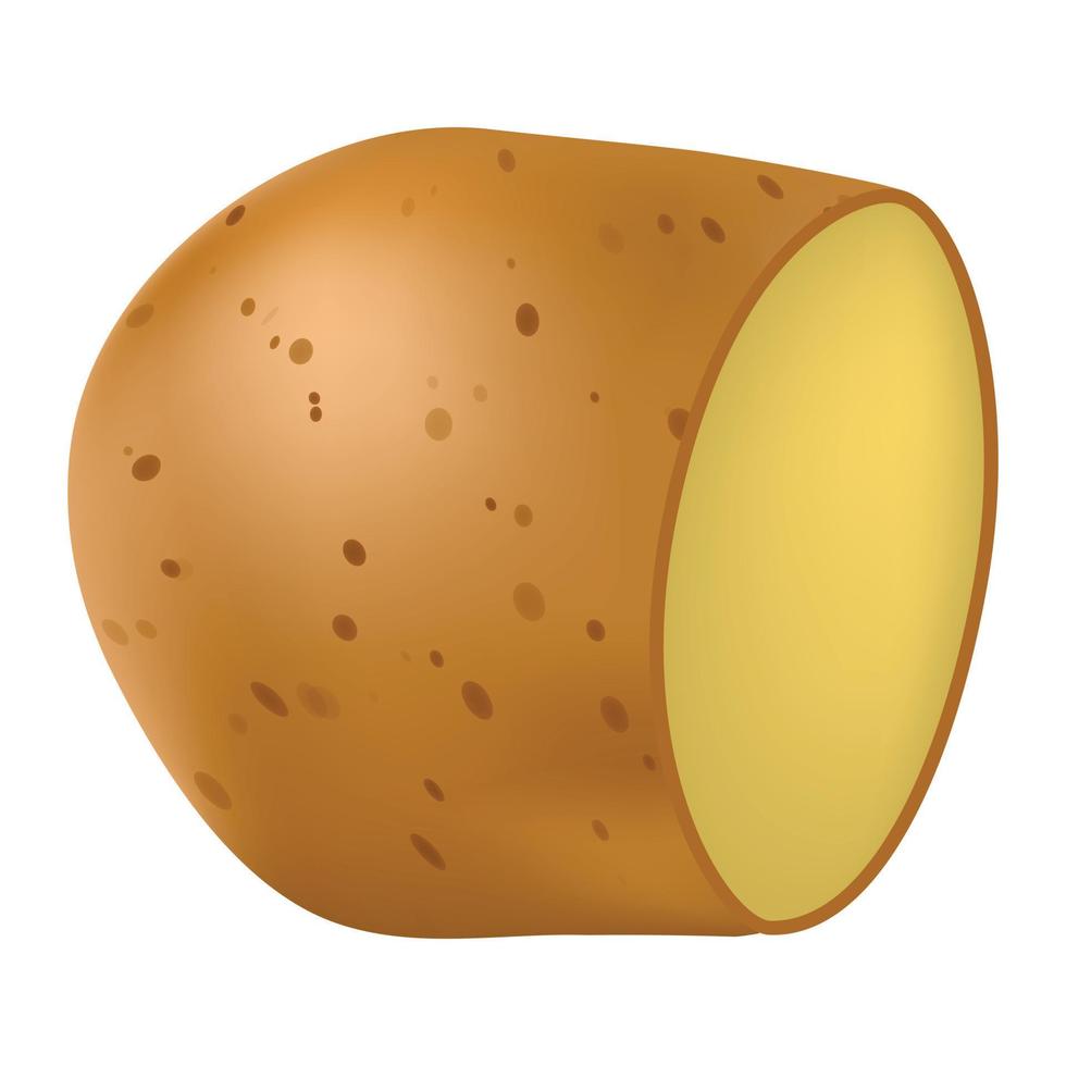 klassiek schoon aardappel icoon, realistisch stijl vector