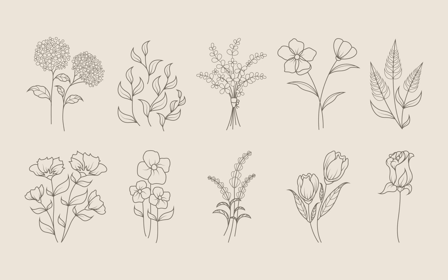 bloemen hand- getrokken ontwerp elementen vector